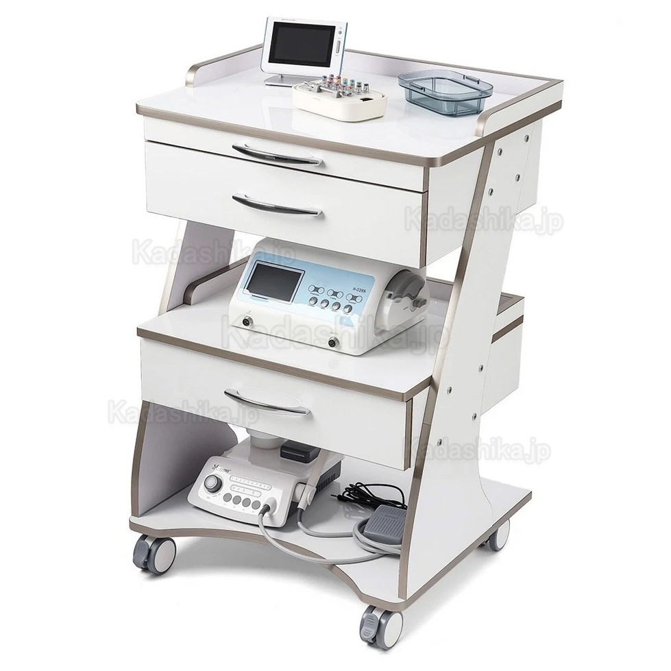 Dentech G06 歯科 モービル キャビネット / ダブルドロワーデンタルカート 器具トレイ付き